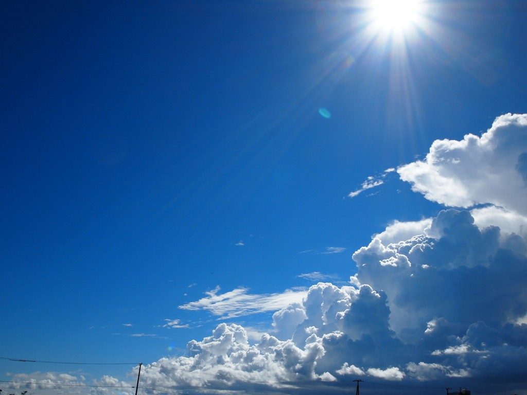5月24日(水) <十干十二支:辛亥 中宮:六白金星>