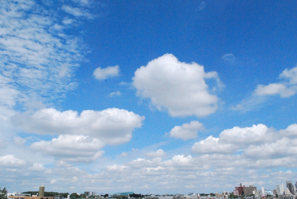 6月28日(水) <十干十二支:丙戌 中宮:五黄土星>