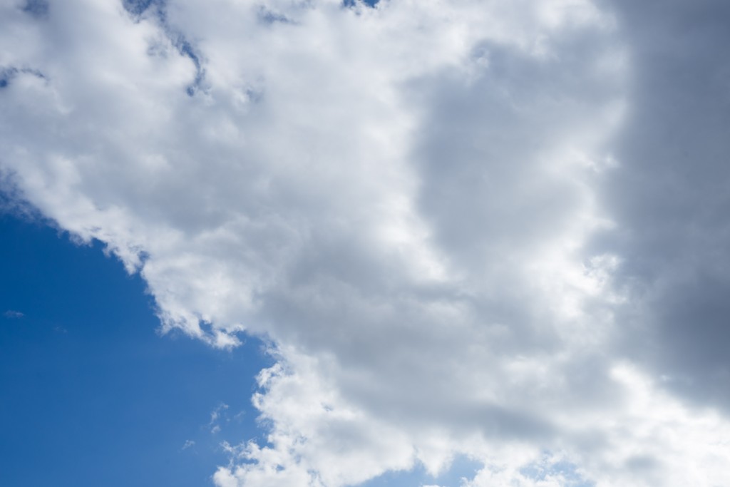 7月19日(水) <十干十二支:丁未 中宮:二黒土星>