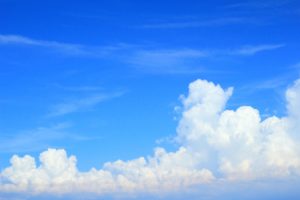 8月21日(月) <十干十二支:庚辰 中宮:五黄土星>