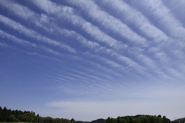 9月16日(土) <十干十二支:丙午 中宮:六白金星>