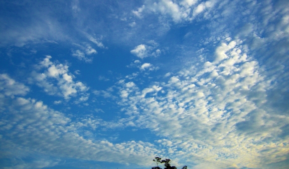 9月27日(水) <十干十二支:丁巳 中宮:四緑木星>