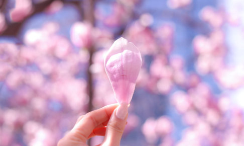 「好きだけど付き合えない」そんな経験、ありませんか? 「好きだけど付き合えない」そんな経験、ありませんか?