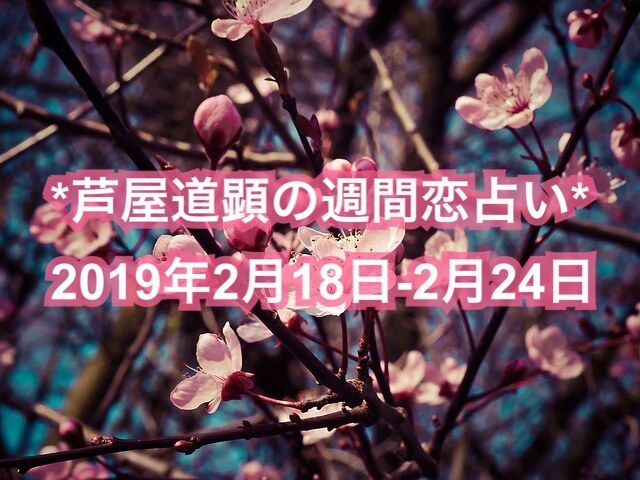 2月18日-2月24日の恋愛運【芦屋道顕の音魂占い★2019年】