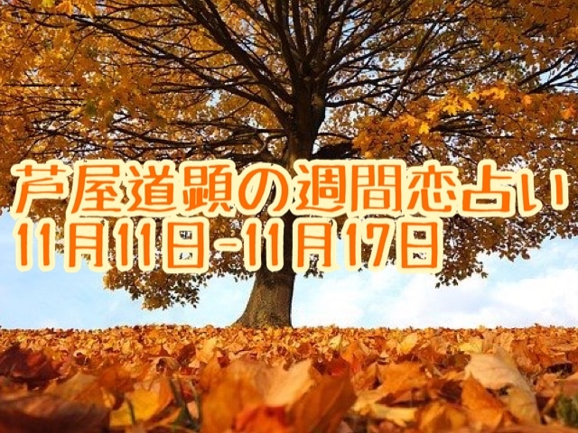 11月11日-11月17日の恋愛運【芦屋道顕の音魂占い★2019年】