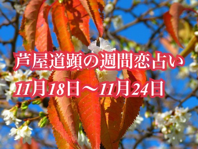 11月18日-11月24日の恋愛運【芦屋道顕の音魂占い★2019年】