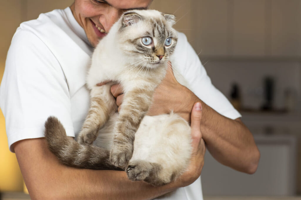 猫好き男子の性格の特徴から恋愛傾向を探る
