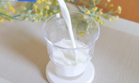 牛乳は消費期限が切れても飲んで大丈夫？賞味期限との違いと見極め方を解説