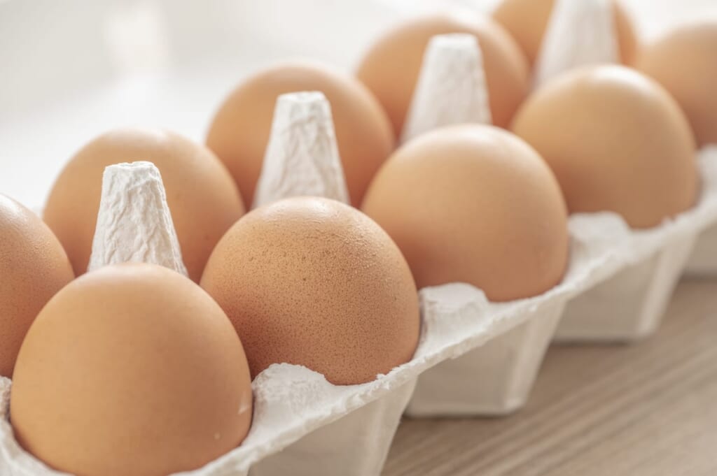 賞味期限切れの卵を食べるときの注意点